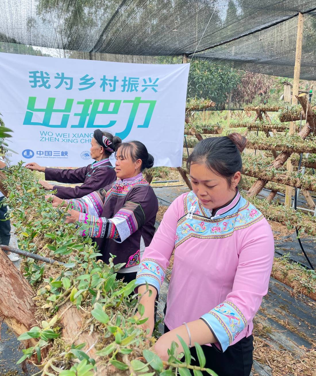 我为乡村振兴出把力3.jpg