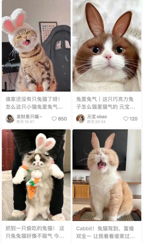 1674116101465197.jpeg 图片7.jpeg