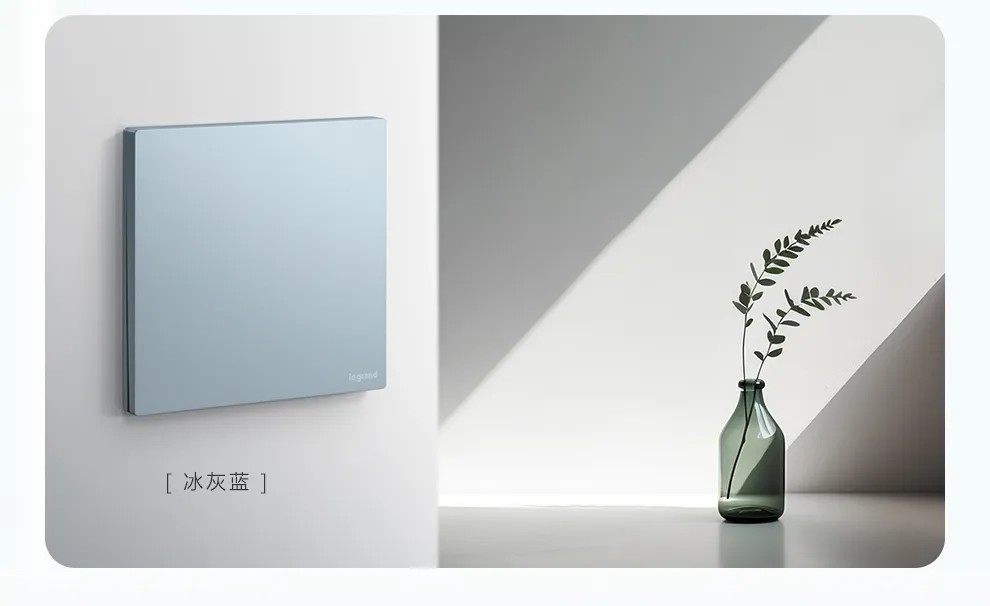 助力奥运·赢取好礼|买罗格朗逸景PLUS、维翼系列开关赢2024巴黎奥运游