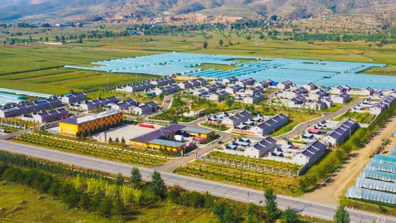 花苑村设施农业基地。
