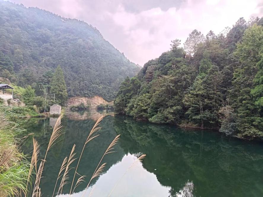 4e71b50b413563772f8b8beaa0c15696