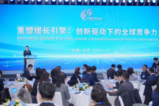 国资委党委委员、副主任李镇出席第八届中国企业论坛中外企业家对话会