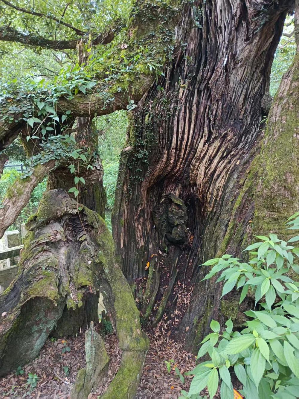 7c182e16f983245d44524011d1f95605