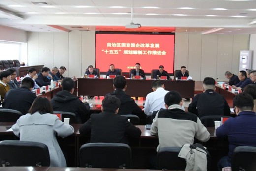 宁夏国资委组织召开全区国资国企改革发展“十五五”规划编制工作推进会