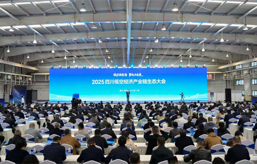 亿元大单签约!施小琳省长出席四川低空经济产业链生态大会