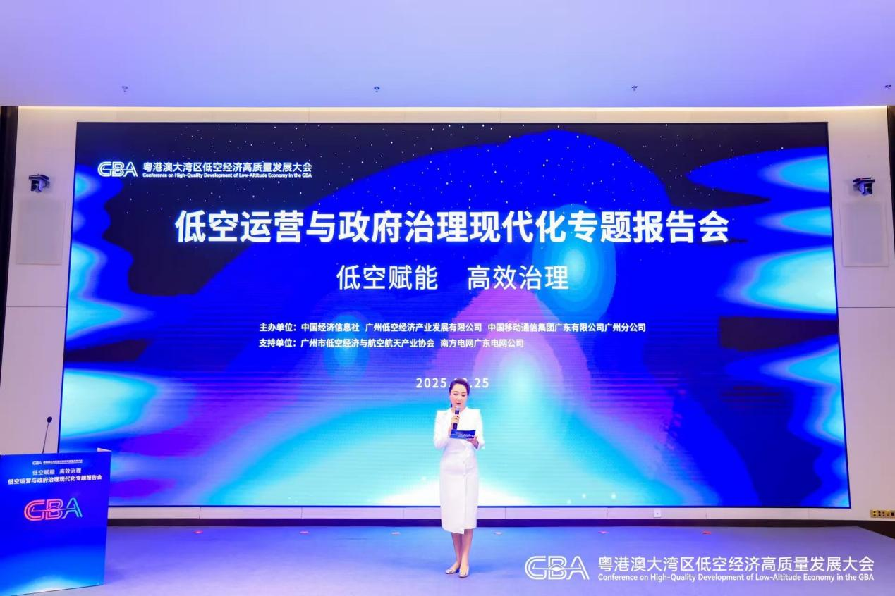 低空运营与政府治理现代化专题报告会现场.png