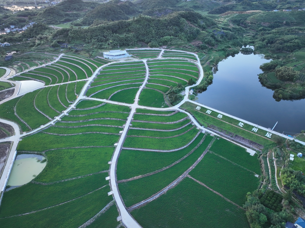 松阳县全域土地综合整治项目（山下阳片区）EPC工程
