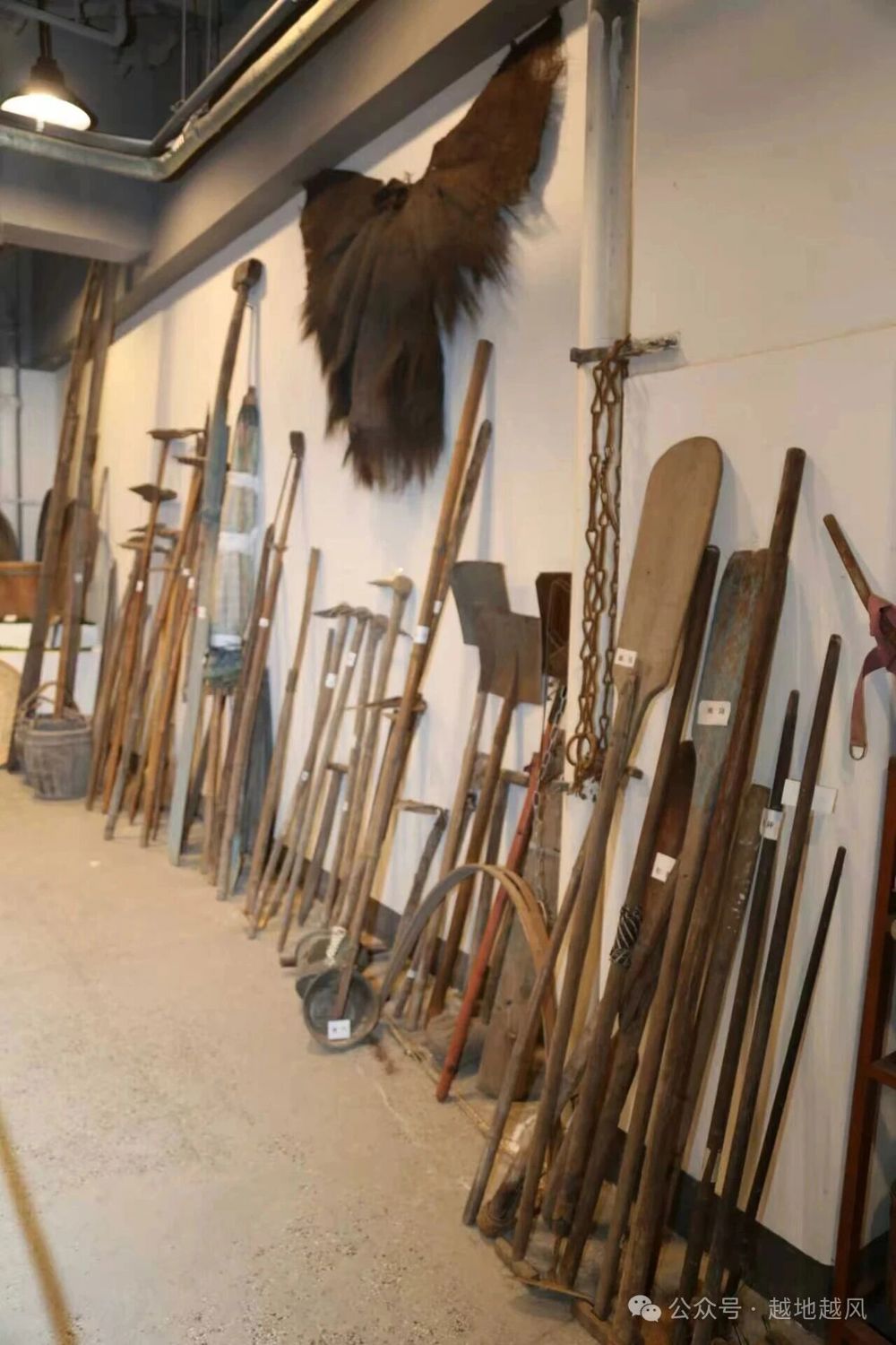 微信图片_2026-03-06_132401_298