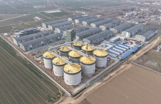 山东省加快推动粮食产业转型升级