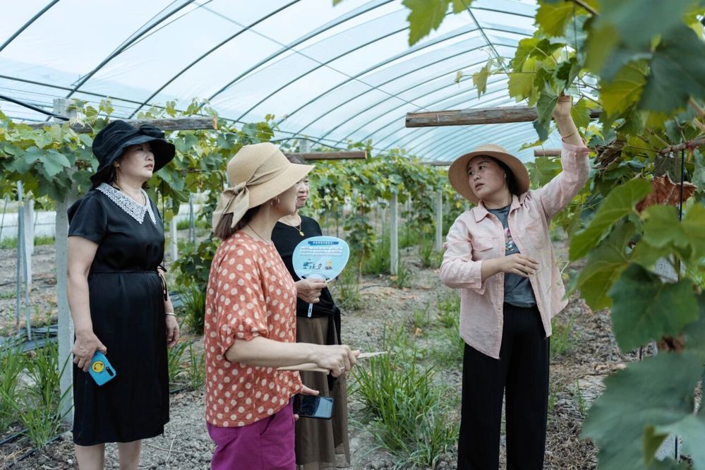 微信图片_2026-03-23_214716_527