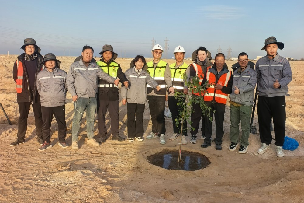 塔里木大学李志军教授团队全程驻场指导，针对科威特热带沙漠气候特点开展全链条技术攻坚。 (1)