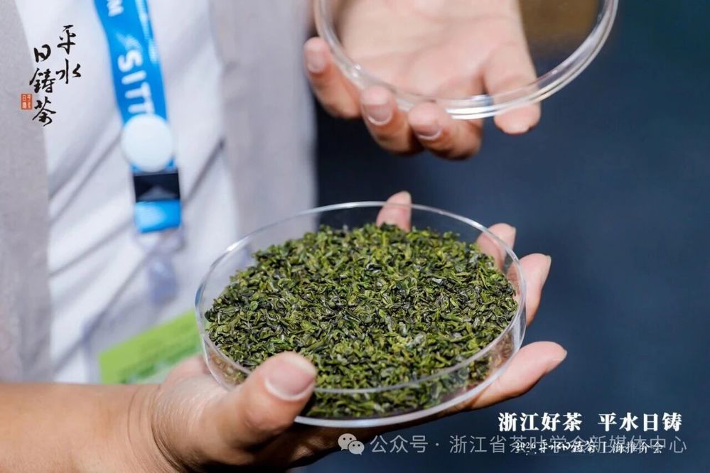 微信图片_2026-04-25_094613_316