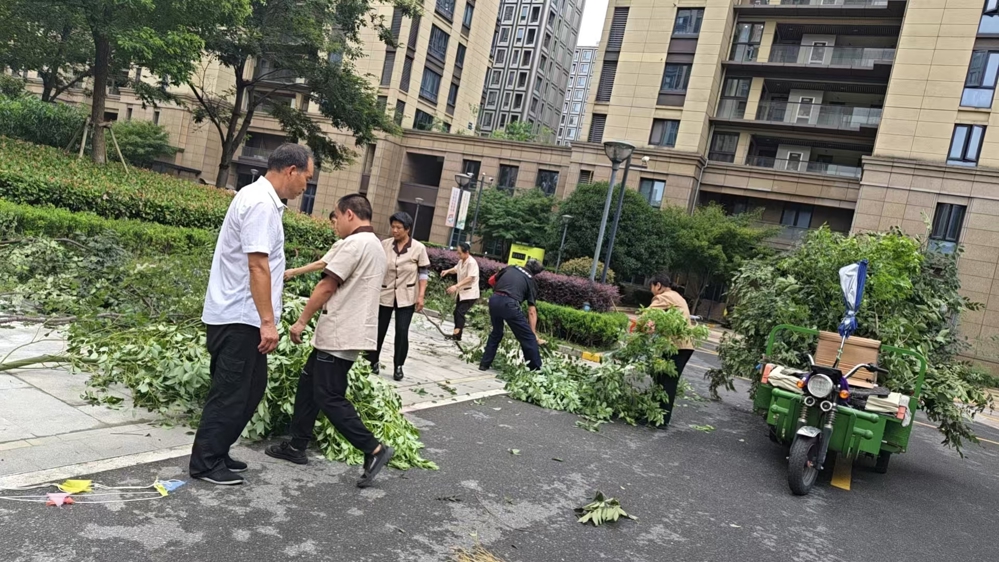 微信图片_20260712163653_145_1691
