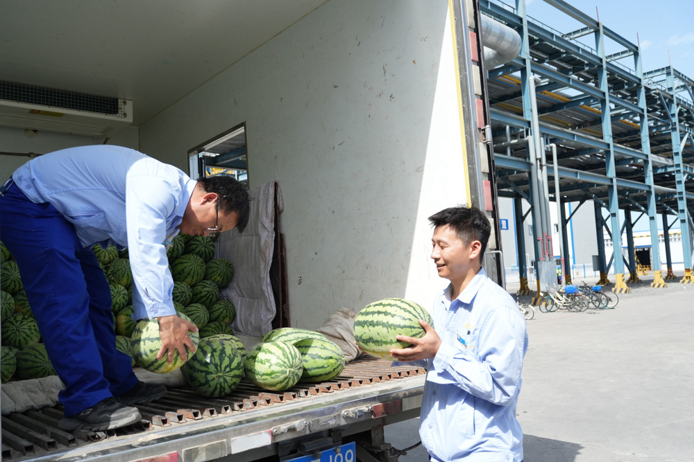 图为：乙醇厂分工会为员工发放西瓜