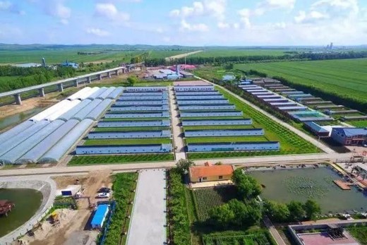 黑龙江省国资委以实绩导向赋能出资企业高质量发展