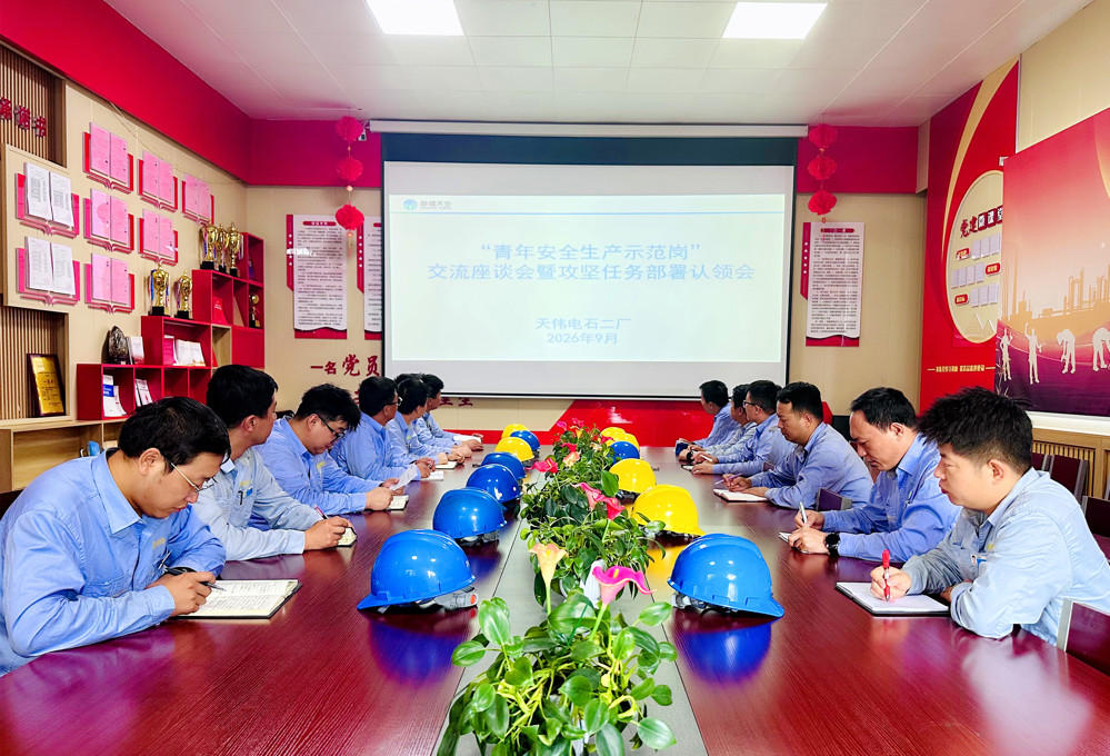 天伟化工有限公司团委召开“青年安全生产示范岗”专题座谈会