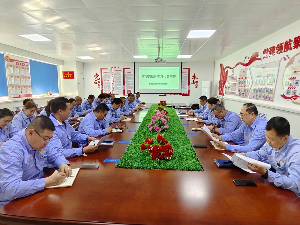 新疆天业能源管理公司供电供热党支部学习贯彻师市党代会精神