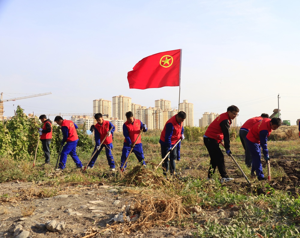 “青春敬老践初心 田间志愿暖桑榆”——天伟化工有限公司团委开展“敬老月”志愿服务活动 图