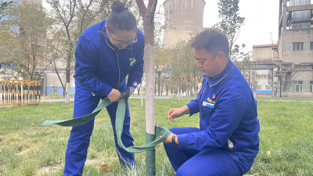 新疆天业能源管理公司：抢抓秋季黄金期 全面提升厂区绿化品质 (2)